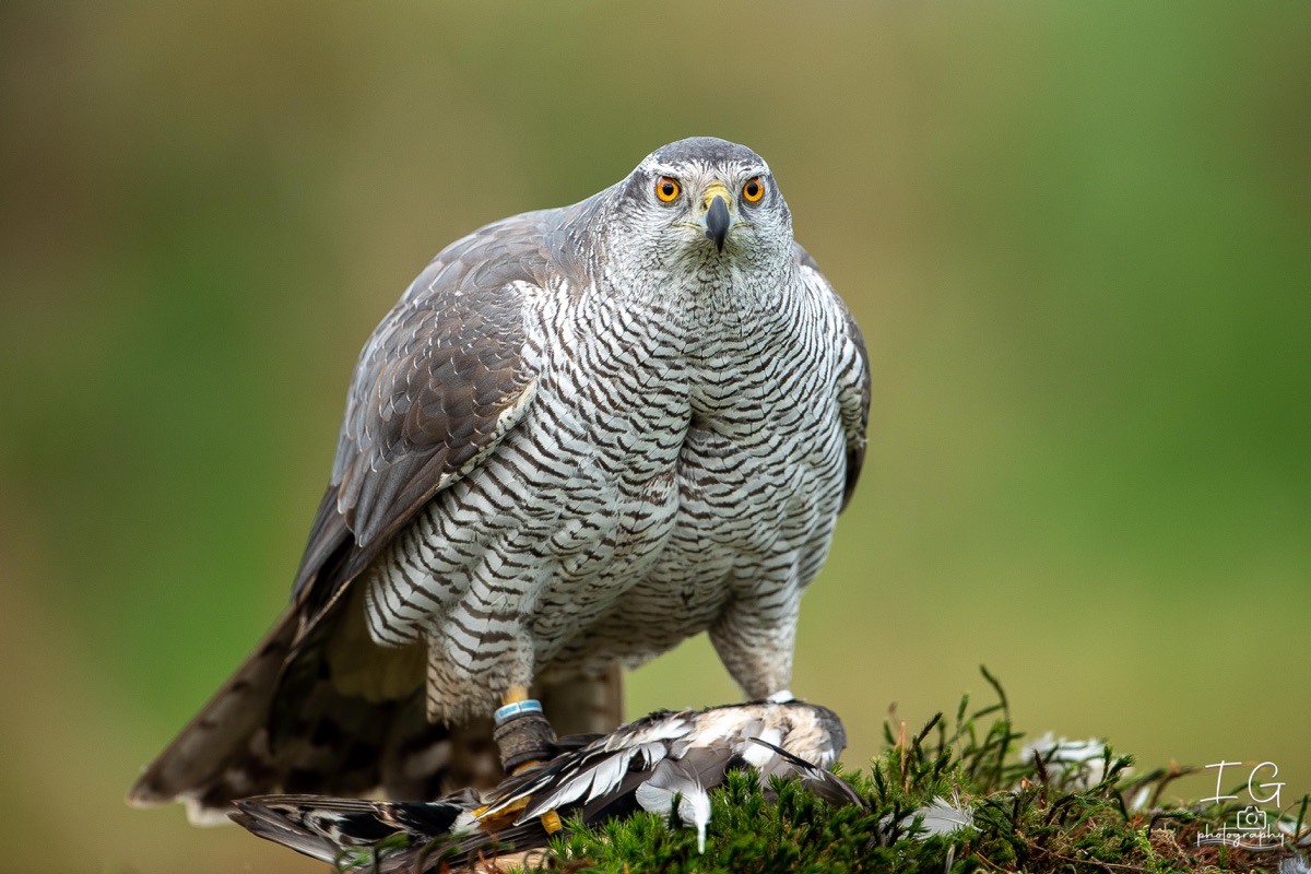 AK6I1393 31 oktober 2021 1455 13